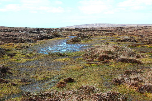 If it's like this at the top of the hill, what is the Bog of Surtan like at the foot of it? Yes, I know: boggy.