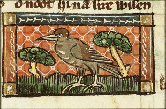 A medieval manuscript style image of  red kite standing on grass between two trees.