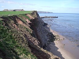 An image of the coastline at Whitby, England, showing the cliffs, the narrow beach, and the sea.